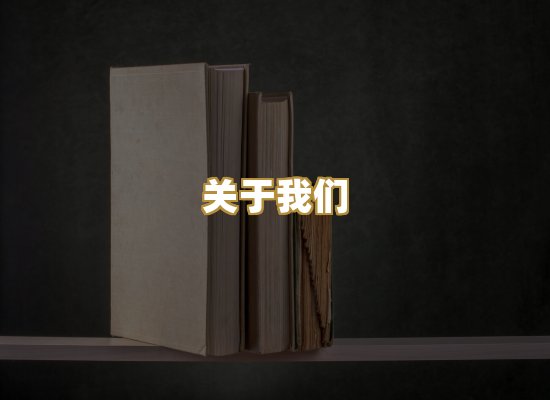 关于我们